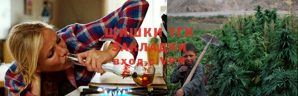 apvp Белокуриха