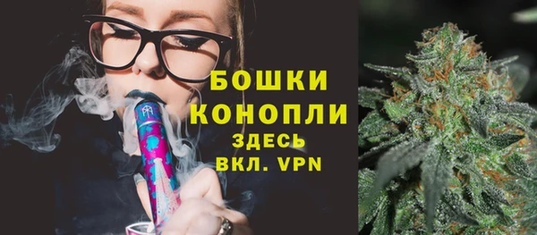 apvp Белокуриха