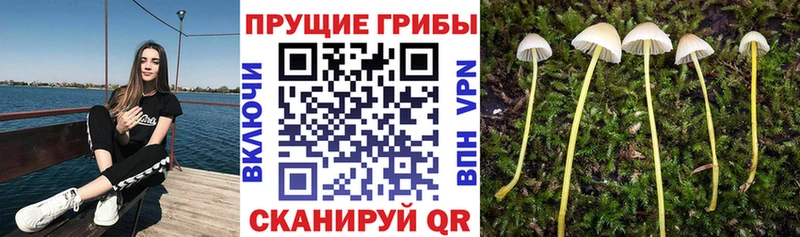 Галлюциногенные грибы MAGIC MUSHROOMS  Воскресенск 